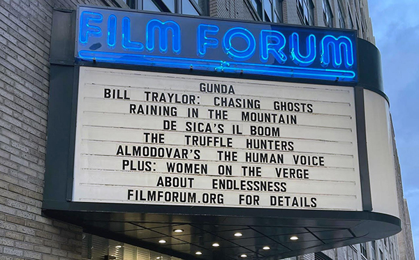 Bill Traylor Chasing Ghosts Film Forum Marquee